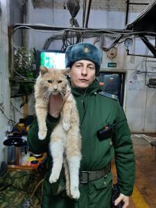 Шапка Ушанка