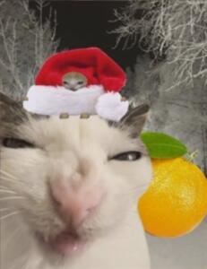 Мамин_Валенок