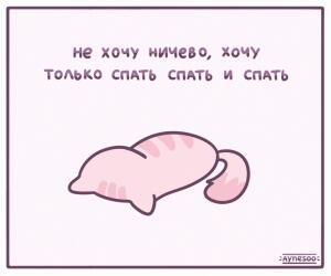 Мемы каждый день :3 культ чая