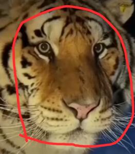 Пользователь ID: 11603