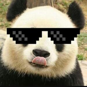 Panda38