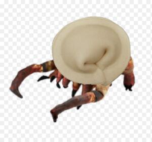 Headpelmen