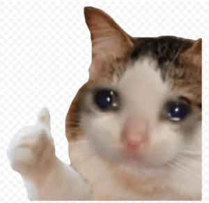 K0T_c_memamy
