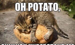 PotatoFace