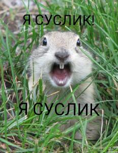 Герммесуслик