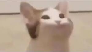 Хто_я?...