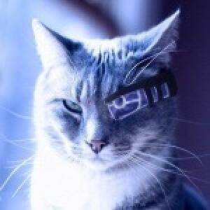 котик