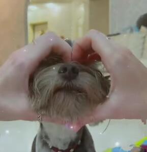 Anfisa_337
