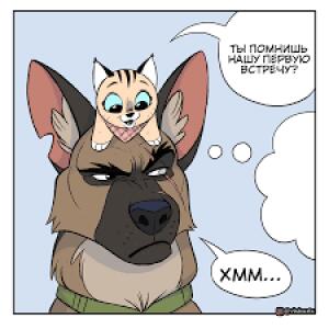 пиксиии и бруттт