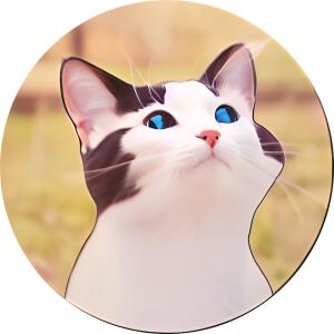 Кот Ivandobrov