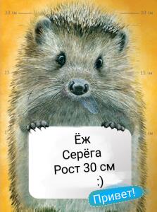 Серый_Rum