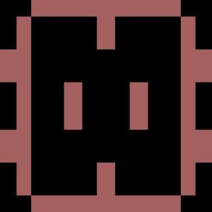 PinBib
