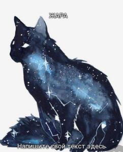 COSMO_CAT_333[культ чая]