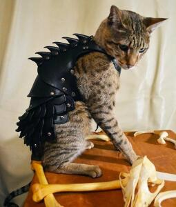 SER.BOLTIN