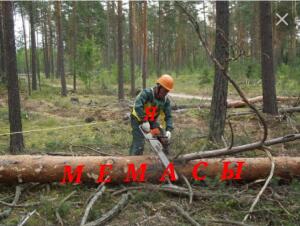 *меморуб*