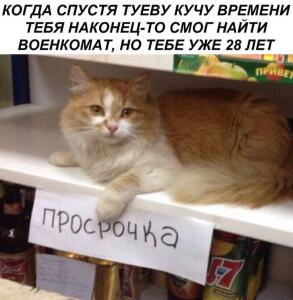 ヽ(´ー` )┌Мемный котэ
