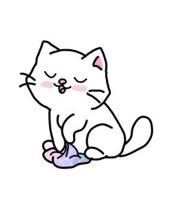 мис кот