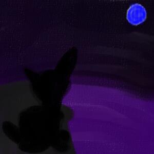 Nighton_23