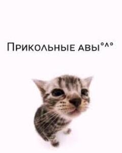 Нулик