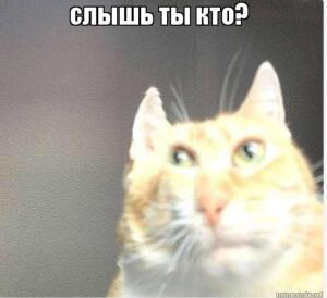 Не пон