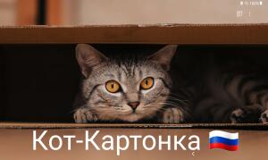 Кот-Картонка 🇷🇺