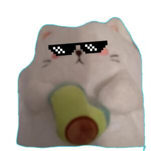 AvokadoKot