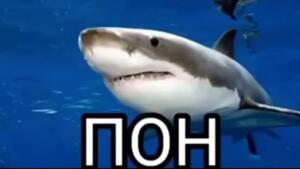 egor247yt