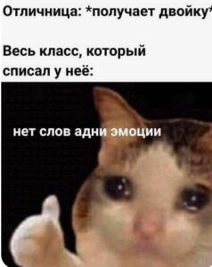 Мемы с котами