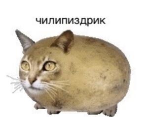 Чилипиздрик(Чикибряк)
