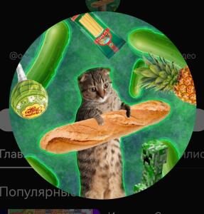 Коть_мемозга2848285