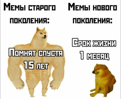 Сильный кабутши и грустный дог сравнивают долгожительство мемов
