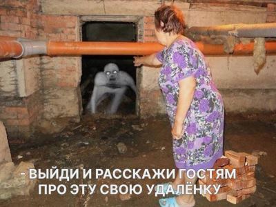 Бабушка в цветастом платье тычет пальцем в белое существо в подвале, надпись внизу: 'Выйди и расскажи гостям про эту свою удалёнку